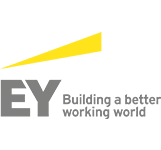 Sterling and Wison Solar Awards and Recognitions - EY